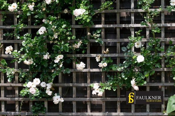 Can I put trellis on my Neighbours garage wall? 2 Do you want to adapt your neighbours garage door and add a trellis Dagenham? Talk to Faulkner Surveyor Dagenham